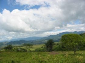Panama small farm land – Best Places In The World To Retire – International Living
